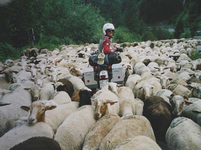 Moto Club Valle Argentina - Transappenninica