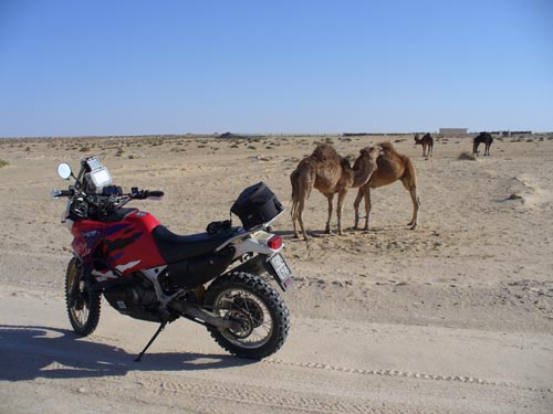 Moto Club Valle Argentina - Tunisia 2010