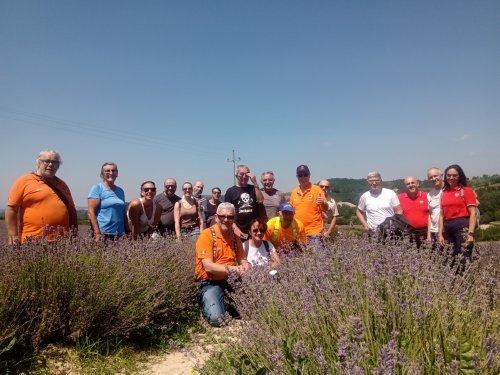 Motoclub Valle Argentina - Lavanda a Sale San Giovanni - Langhe - 2023
