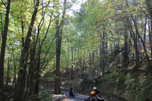 Moto Club Valle Argentina - Taggia