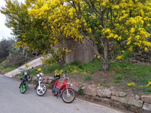 Moto Club Valle Argentina - Taggia