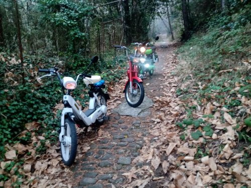 Moto Club Valle Argentina - Taggia