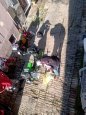 IMG_20230612_070212192.jpg