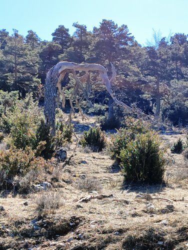 Moto Club Valle Argentina - Taggia
