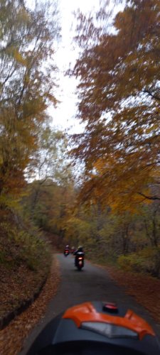 Moto Club Valle Argentina - Taggia