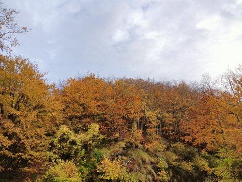 Moto Club Valle Argentina - Taggia