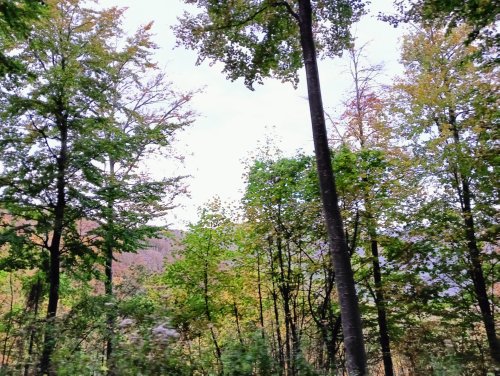 Moto Club Valle Argentina - Taggia