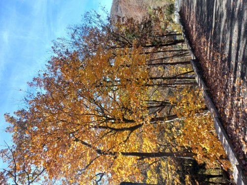 Moto Club Valle Argentina - Taggia