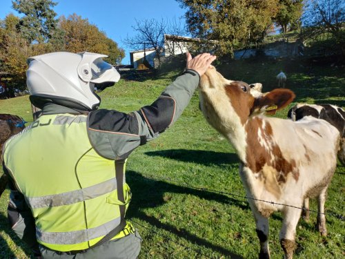 Moto Club Valle Argentina - Taggia