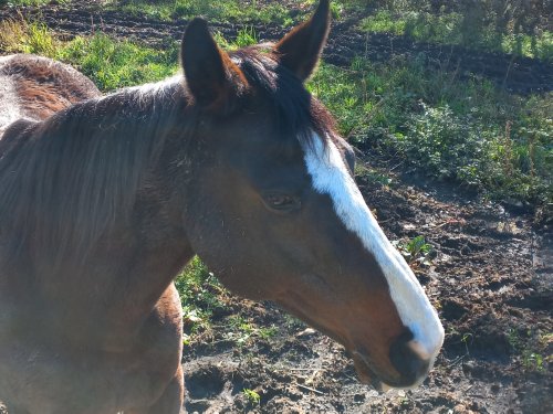 Moto Club Valle Argentina - Taggia
