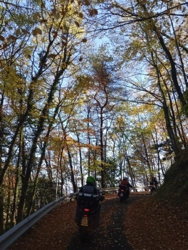 Moto Club Valle Argentina - Taggia