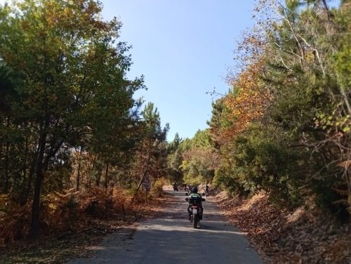 Moto Club Valle Argentina - Taggia