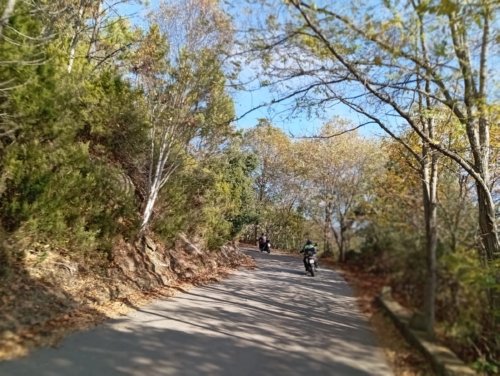 Moto Club Valle Argentina - Taggia