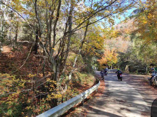 Moto Club Valle Argentina - Taggia