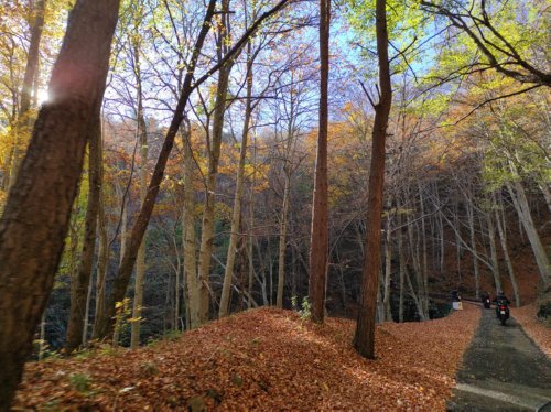 Moto Club Valle Argentina - Taggia