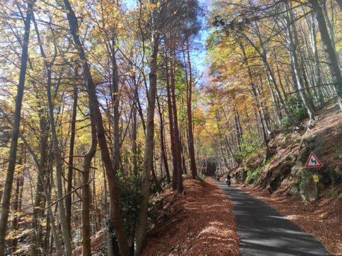 Moto Club Valle Argentina - Taggia
