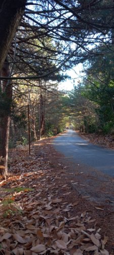 Moto Club Valle Argentina - Taggia