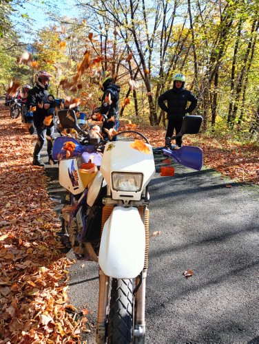 Moto Club Valle Argentina - Taggia