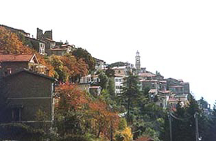 Triora