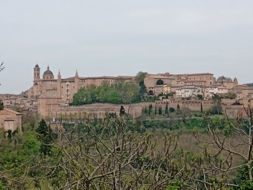 Moto Club Valle Argentina - Taggia