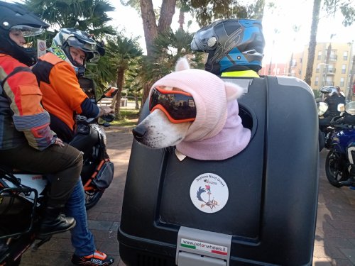 Moto Club Valle Argentina - Taggia